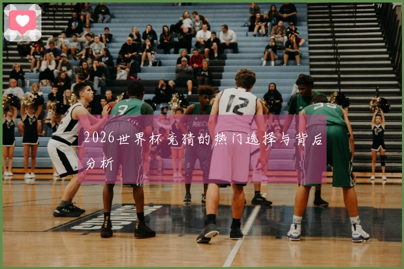 2026世界杯竞猜的热门选择与背后分析