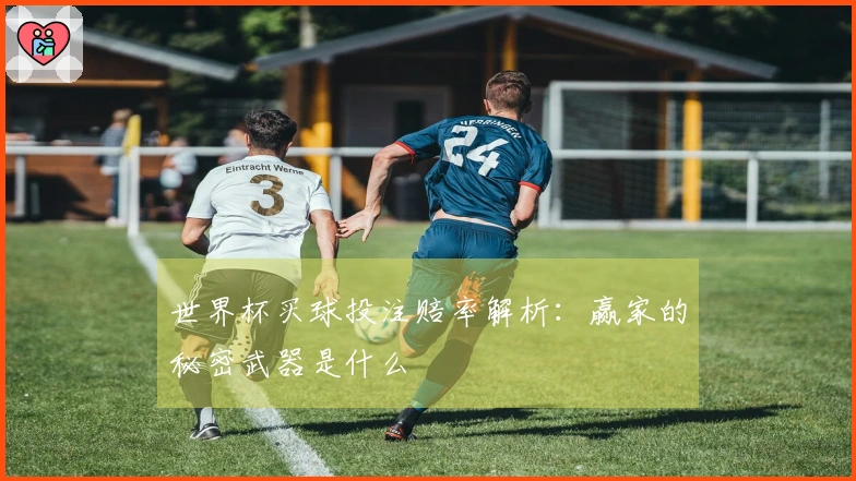 世界杯买球投注赔率解析：赢家的秘密武器是什么