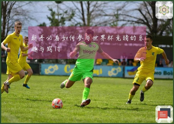 新手必看如何参与世界杯竞猜的乐趣与窍门