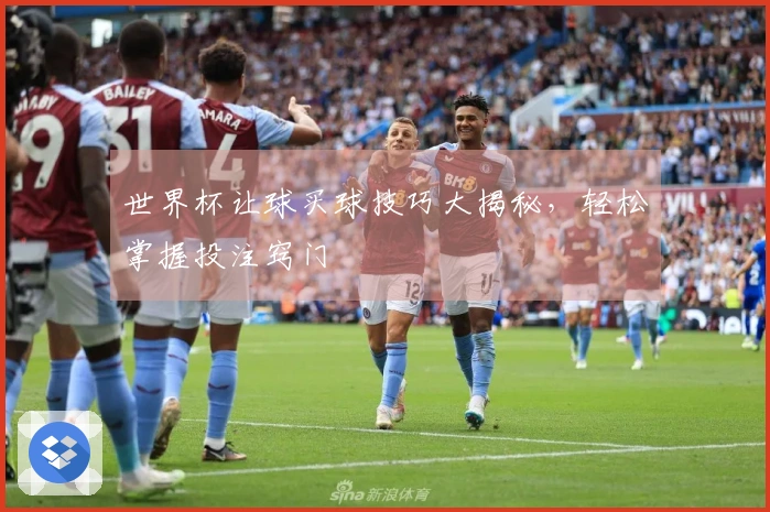 世界杯让球买球技巧大揭秘，轻松掌握投注窍门