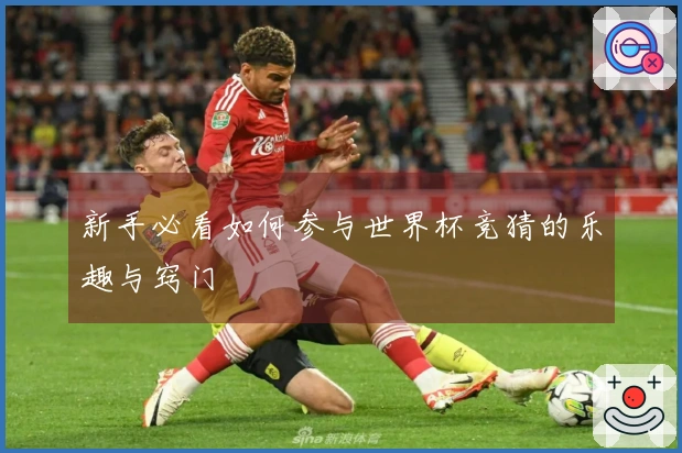 新手必看如何参与世界杯竞猜的乐趣与窍门